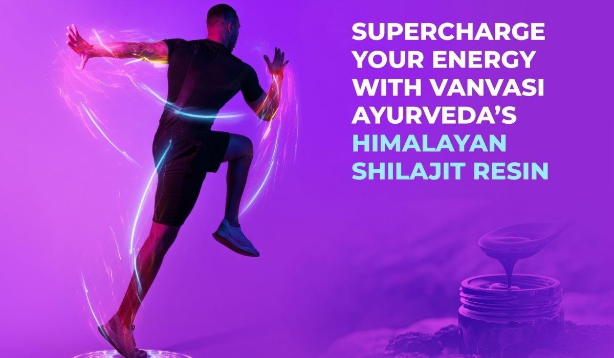 himalayan shilajit image 
