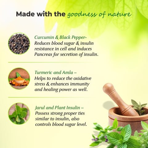 Vanvasi Ayurveda Diabetes Control Capsules